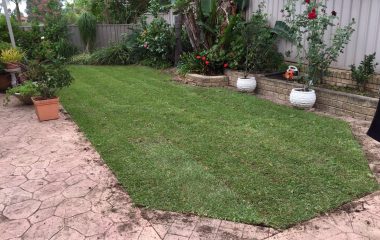 Affordable Landscaping Services