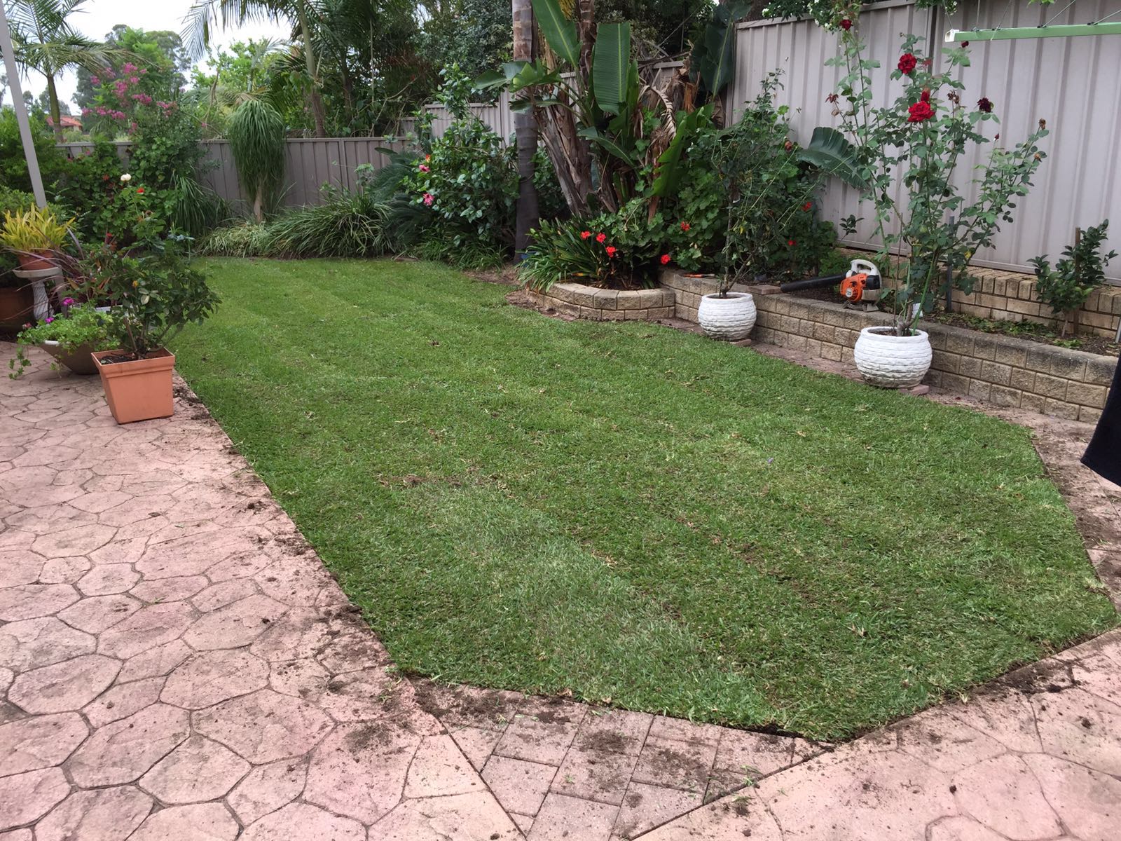 Soft Landscaping Service Campbelltown, NSW