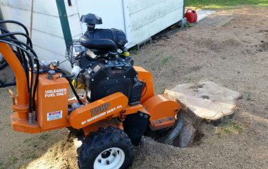 Affordable Stump Grinding Services