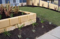 Landscaping services North Shore